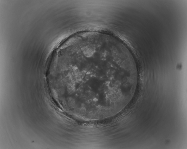 X0000116800679200912181318