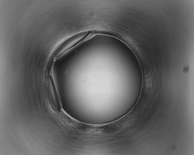 X0000116800680200912181318