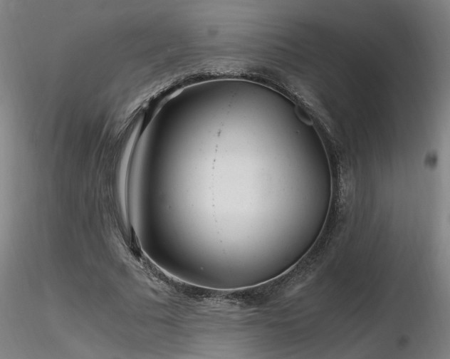 X0000116800681200912181318