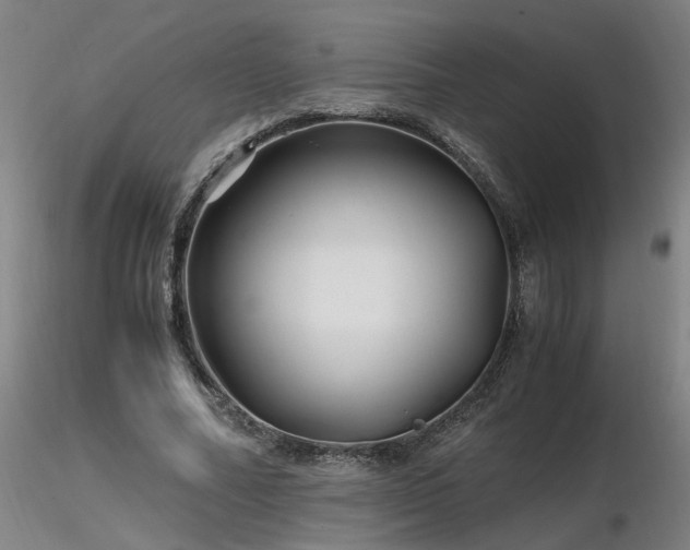 X0000116800682200912181318