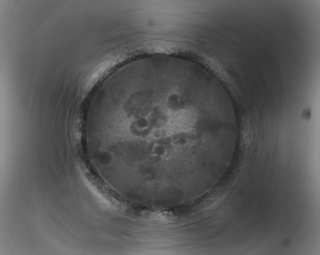X0000116800683200912181318