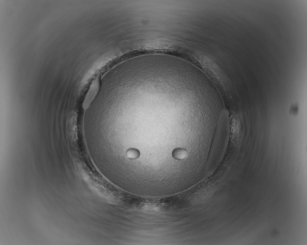 X0000116800684200912181318