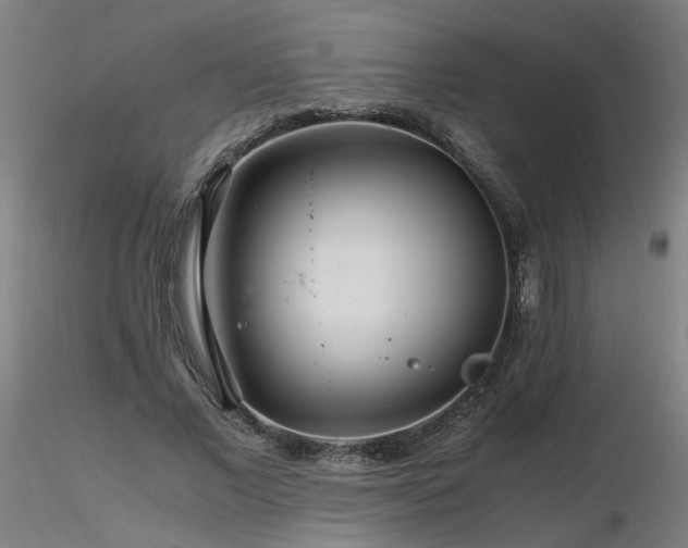 X0000116800685200912181318