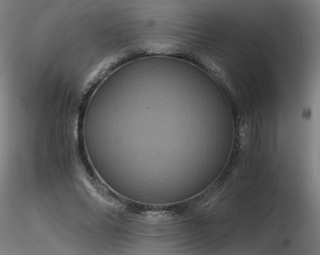 X0000116800686200912181318