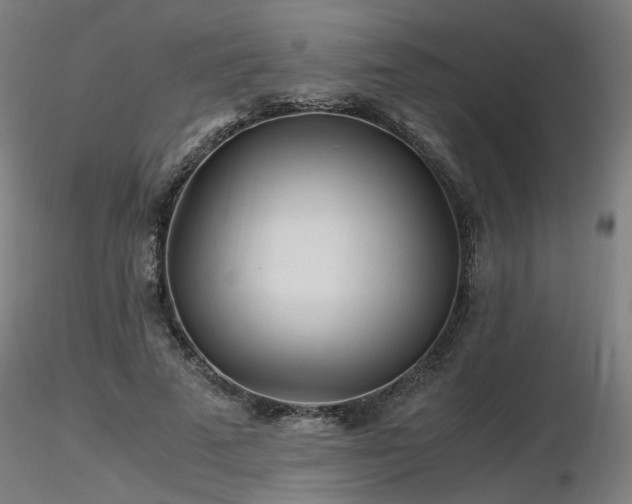 X0000116800689200912181318