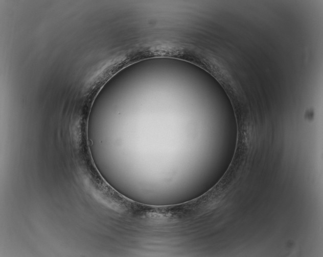 X0000116800690200912181318