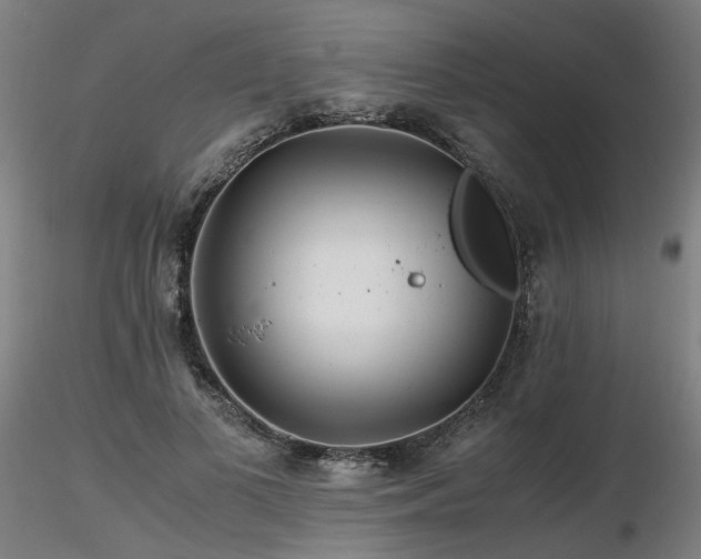 X0000116800693200912181318