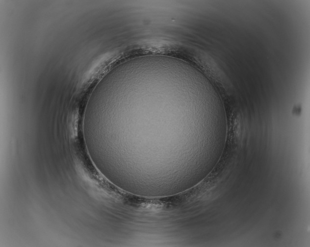 X0000116800694200912181318