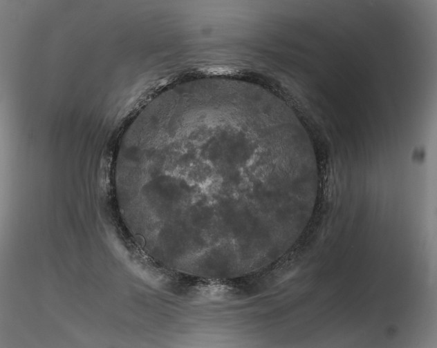 X0000116800695200912181318
