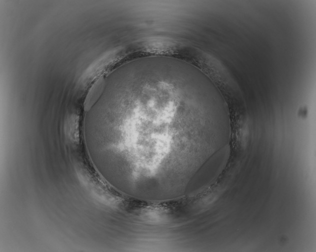 X0000116800696200912181318
