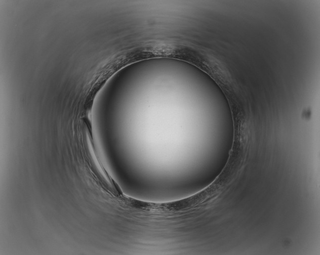 X0000116800697200912181318