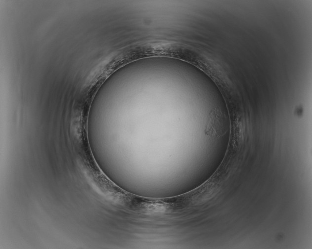 X0000116800698200912181318