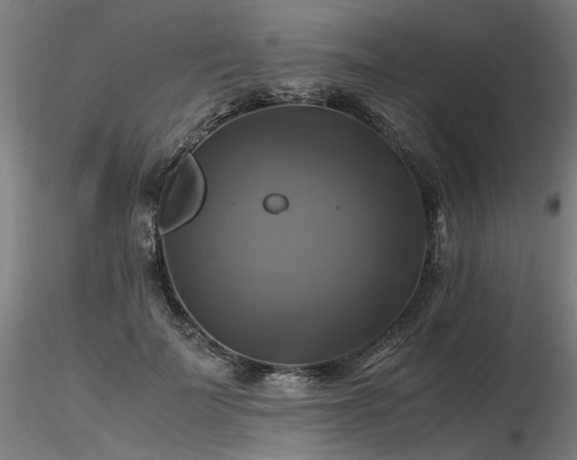 X0000116800699200912181318