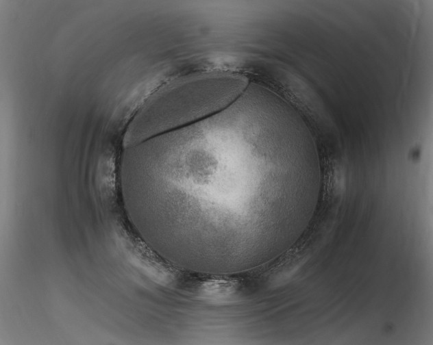 X0000116800700200912181318