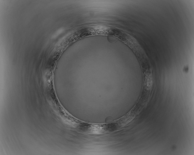X0000116800701200912181318