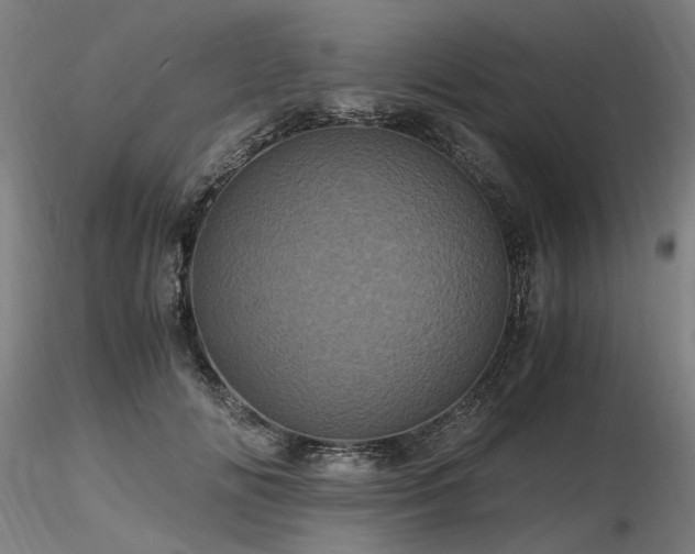 X0000116800702200912181318