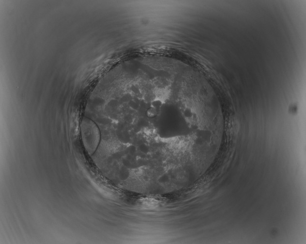 X0000116800703200912181318