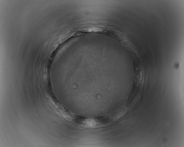 X0000116800704200912181318