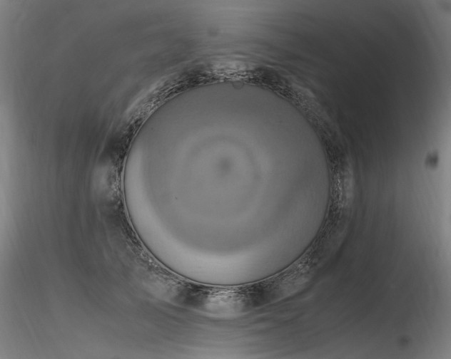 X0000116800705200912181318