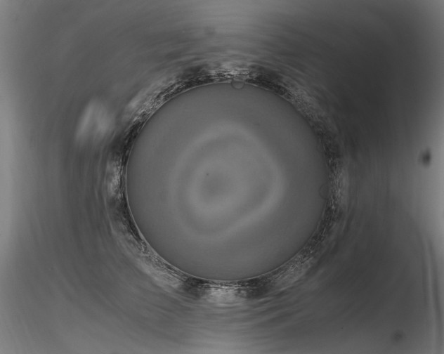 X0000116800709200912181317