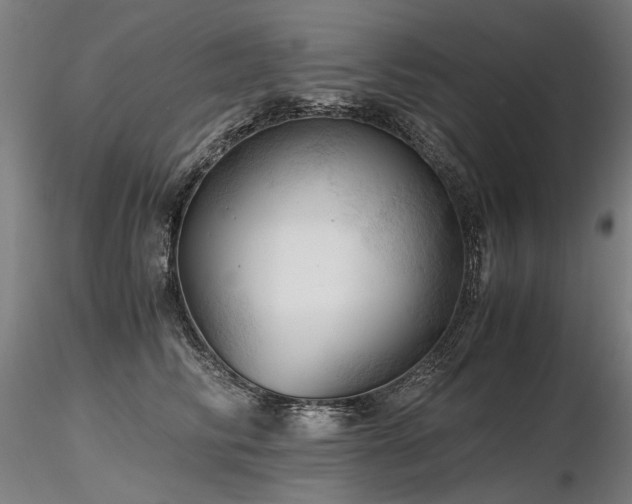 X0000116800710200912181317