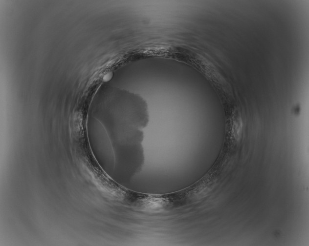 X0000116800711200912181317