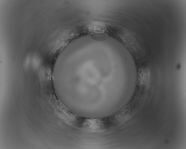 X0000116800713200912181317