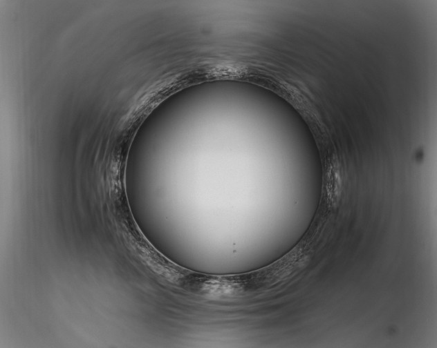X0000116800714200912181317