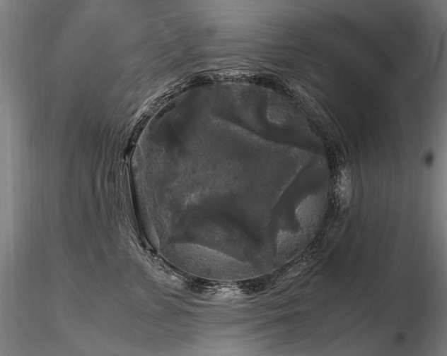 X0000116800715200912181317