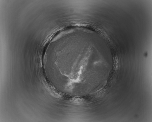 X0000116800716200912181317