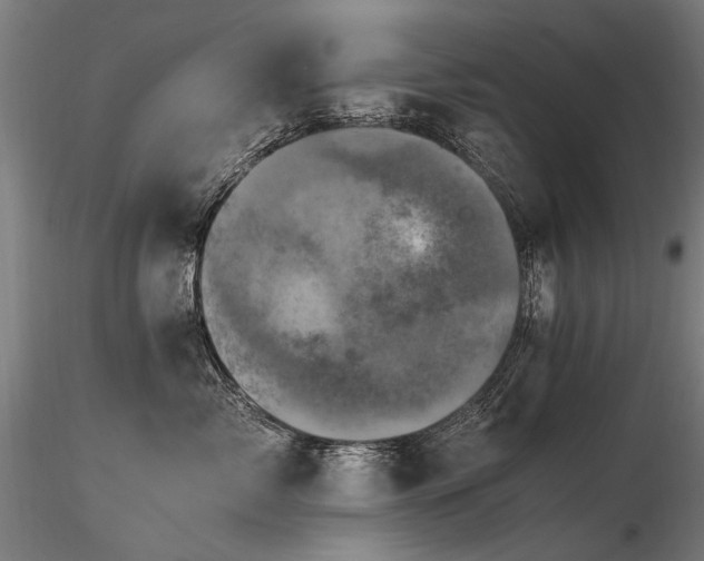 X0000116800717200912181317