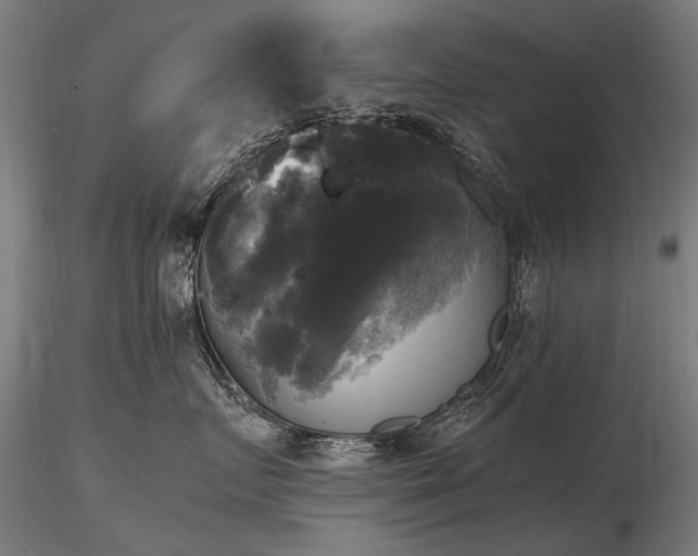 X0000116800719200912181317