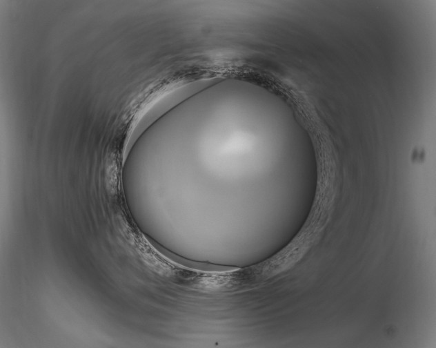 X0000116800720200912181317