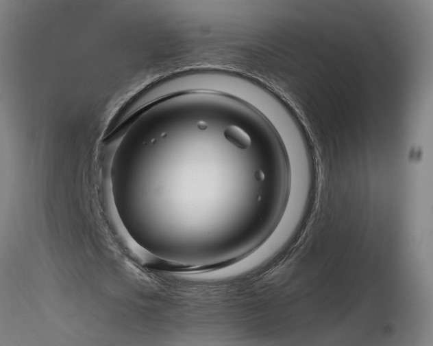 X0000116800721200912181317