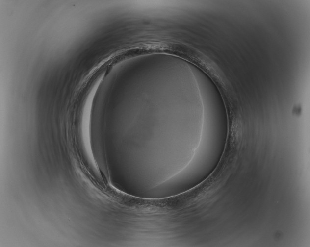 X0000116800722200912181317