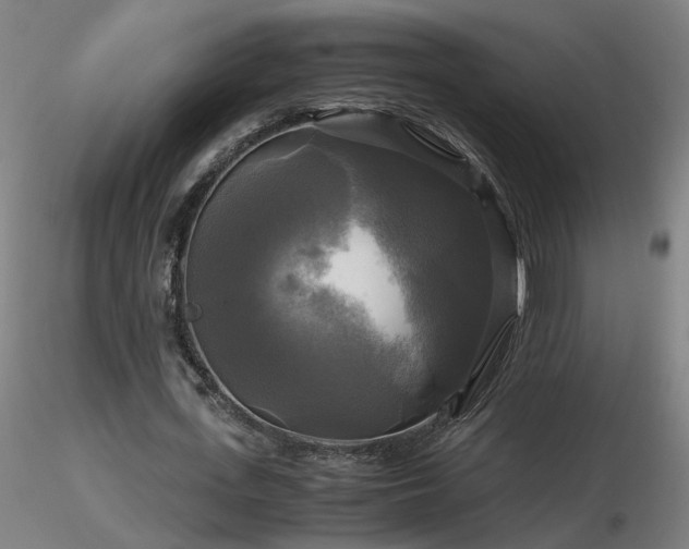 X0000116800723200912181317