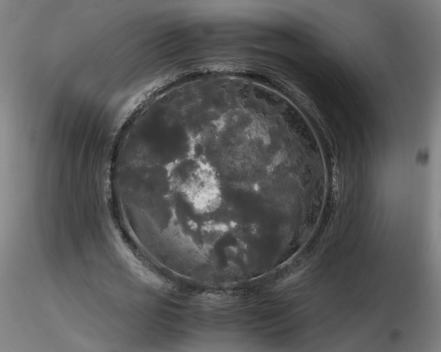 X0000116800725200912181317