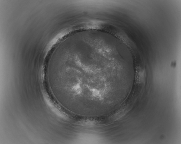 X0000116800726200912181317