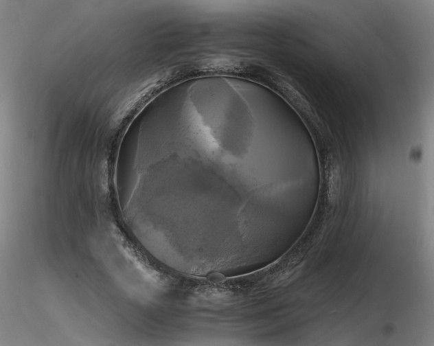 X0000116800729200912181317