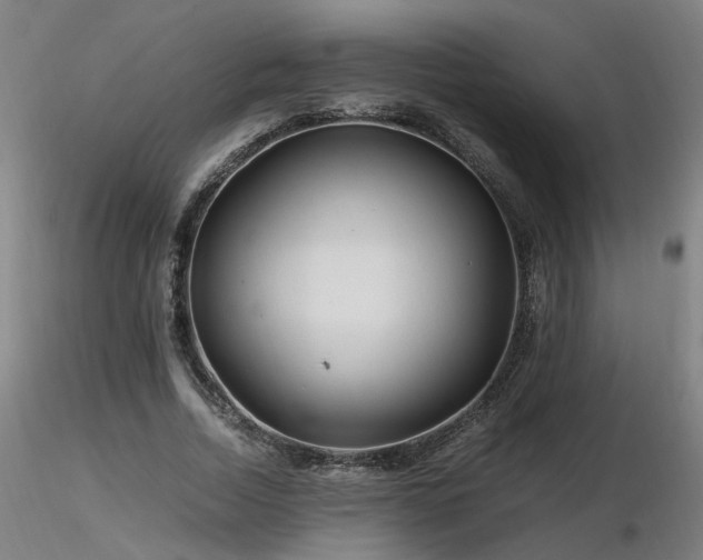 X0000116800730200912181317