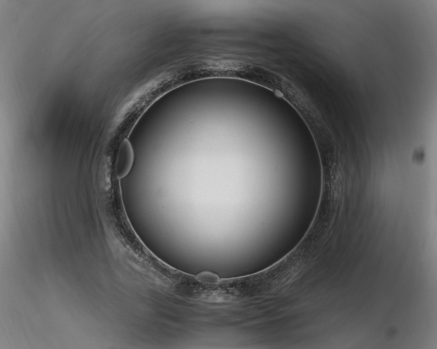 X0000116800731200912181317