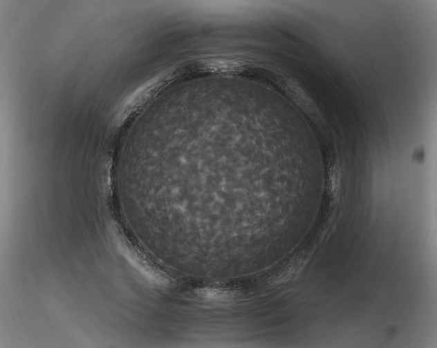 X0000116800733200912181317