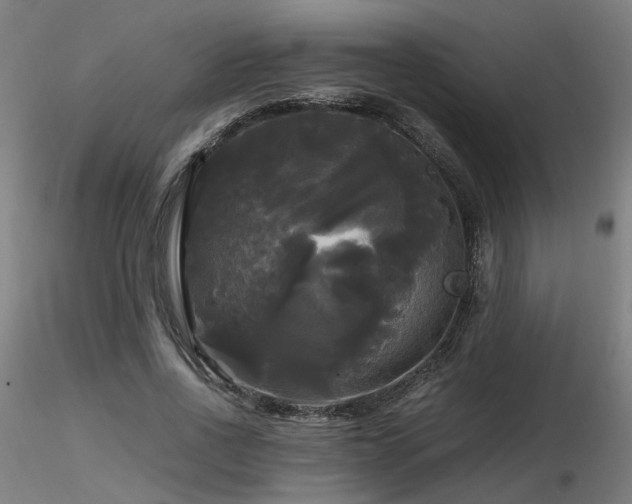X0000116800734200912181317