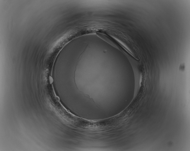 X0000116800735200912181317