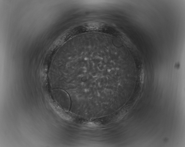 X0000116800737200912181317