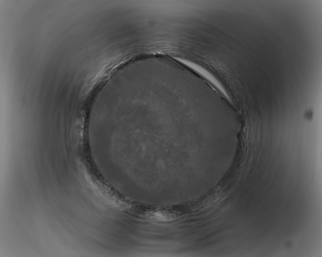 X0000116800739200912181317