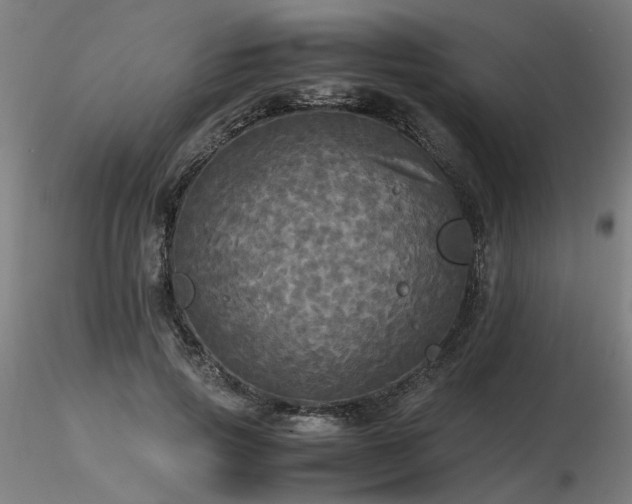 X0000116800741200912181317
