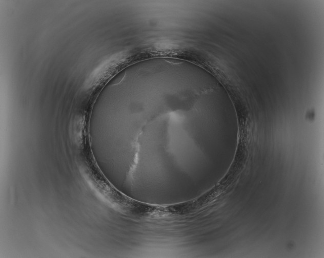 X0000116800742200912181317