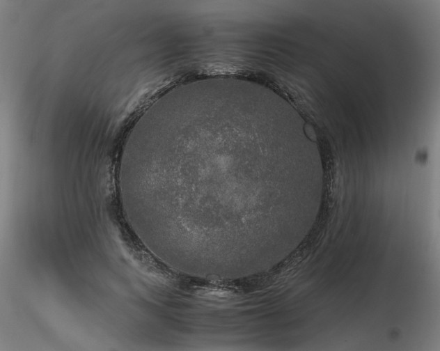 X0000116800743200912181317