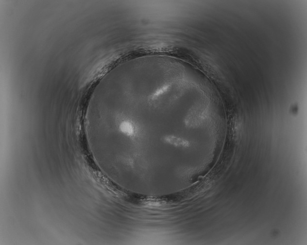 X0000116800746200912181317